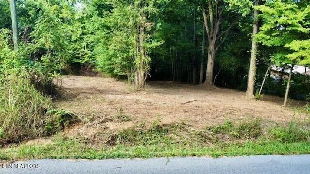 Photo of 106 Green Hill Drive, Vonore, TN 37885 (MLS # 1266539)