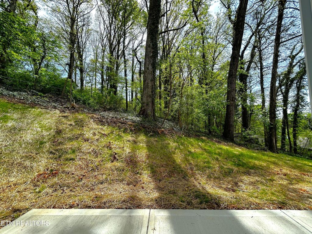 Photo of 211 Mavis Lane, Maryville, TN 37804 (MLS # 1332670)