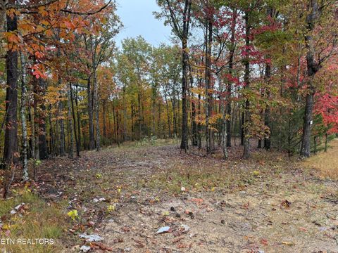 Photo of Crockett Crest Lane, Jamestown, TN 38556 (MLS # 1320362)