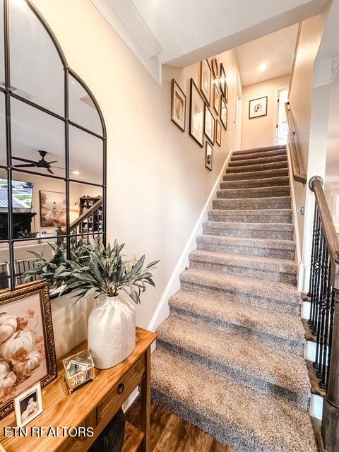 Tiny photo for 1147 Sky Top Lane, Powell, TN 37849 (MLS # 1354801)