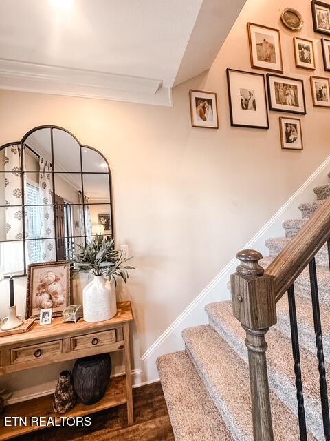 Tiny photo for 1147 Sky Top Lane, Powell, TN 37849 (MLS # 1354801)