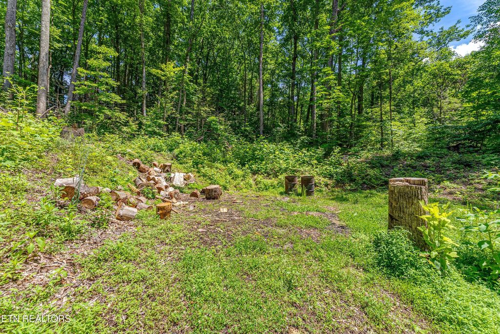 Photo of 229 Sonshine Ridge Rd, Cosby, TN 37722 (MLS # 1343881)