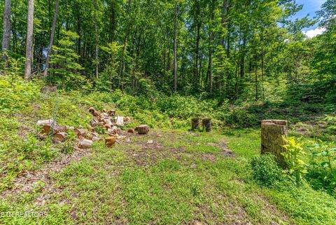 Featured picture for the property 1343881