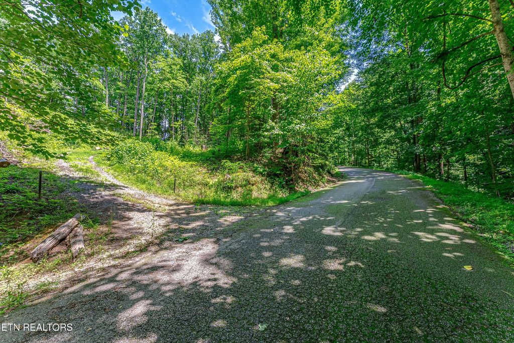 Photo of 229 Sonshine Ridge Rd, Cosby, TN 37722 (MLS # 1343881)