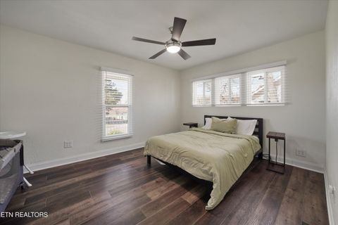 Tiny photo for 612 N Chestnut St, Knoxville, TN 37914 (MLS # 1334173)