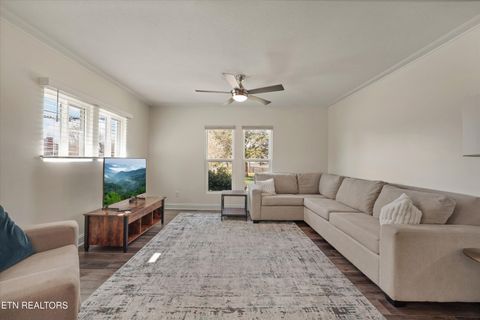 Tiny photo for 612 N Chestnut St, Knoxville, TN 37914 (MLS # 1334173)