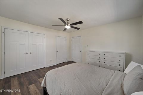 Tiny photo for 612 N Chestnut St, Knoxville, TN 37914 (MLS # 1334173)