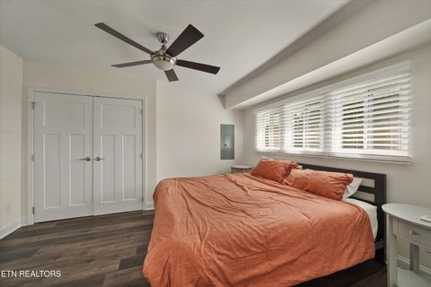 Tiny photo for 612 N Chestnut St, Knoxville, TN 37914 (MLS # 1334173)