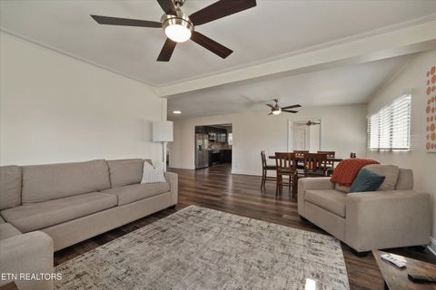 Tiny photo for 612 N Chestnut St, Knoxville, TN 37914 (MLS # 1334173)