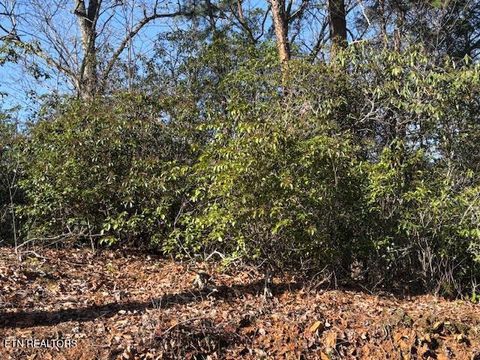 Photo of 1915 Buckeye View Way, Sevierville, TN 37876 (MLS # 1332582)