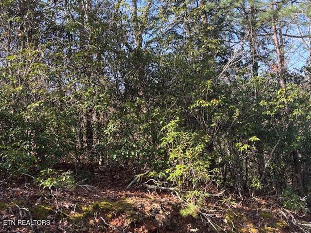 Photo of 1915 Buckeye View Way, Sevierville, TN 37876 (MLS # 1332582)