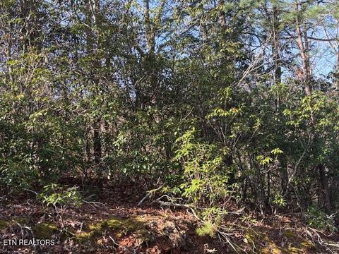 Tiny photo for 1915 Buckeye View Way, Sevierville, TN 37876 (MLS # 1332582)