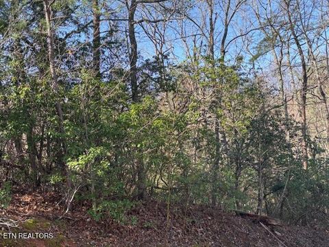 Tiny photo for 1915 Buckeye View Way, Sevierville, TN 37876 (MLS # 1332582)