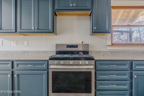 Tiny photo for 856 Little Berry Way, Del Rio, TN 37727 (MLS # 1330834)