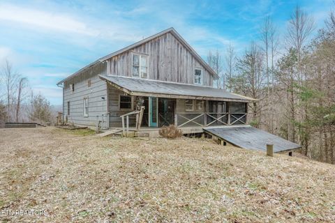 Tiny photo for 856 Little Berry Way, Del Rio, TN 37727 (MLS # 1330834)