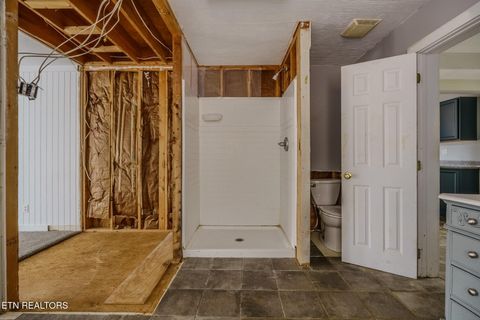 Tiny photo for 856 Little Berry Way, Del Rio, TN 37727 (MLS # 1330834)