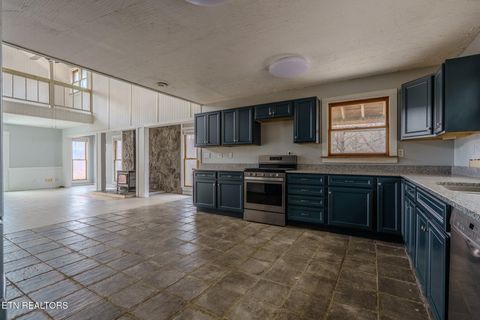 Tiny photo for 856 Little Berry Way, Del Rio, TN 37727 (MLS # 1330834)