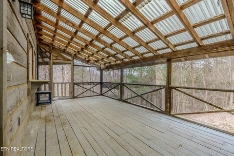 Tiny photo for 856 Little Berry Way, Del Rio, TN 37727 (MLS # 1330834)