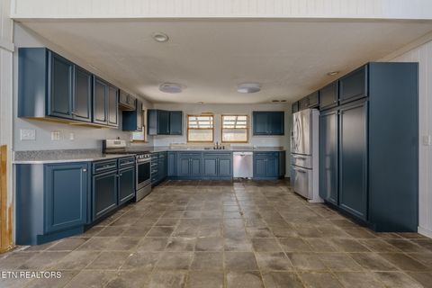 Tiny photo for 856 Little Berry Way, Del Rio, TN 37727 (MLS # 1330834)