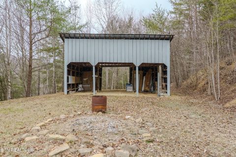 Tiny photo for 856 Little Berry Way, Del Rio, TN 37727 (MLS # 1330834)