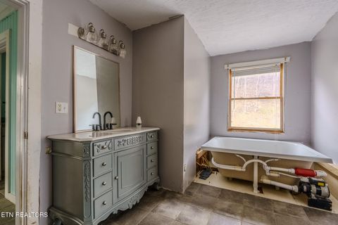 Tiny photo for 856 Little Berry Way, Del Rio, TN 37727 (MLS # 1330834)