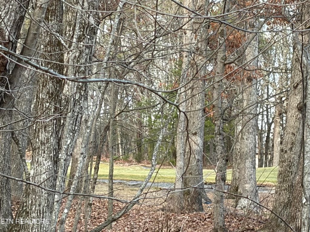 Photo of 118 Baltusrol Rd, Fairfield Glade, TN 38558 (MLS # 1329151)