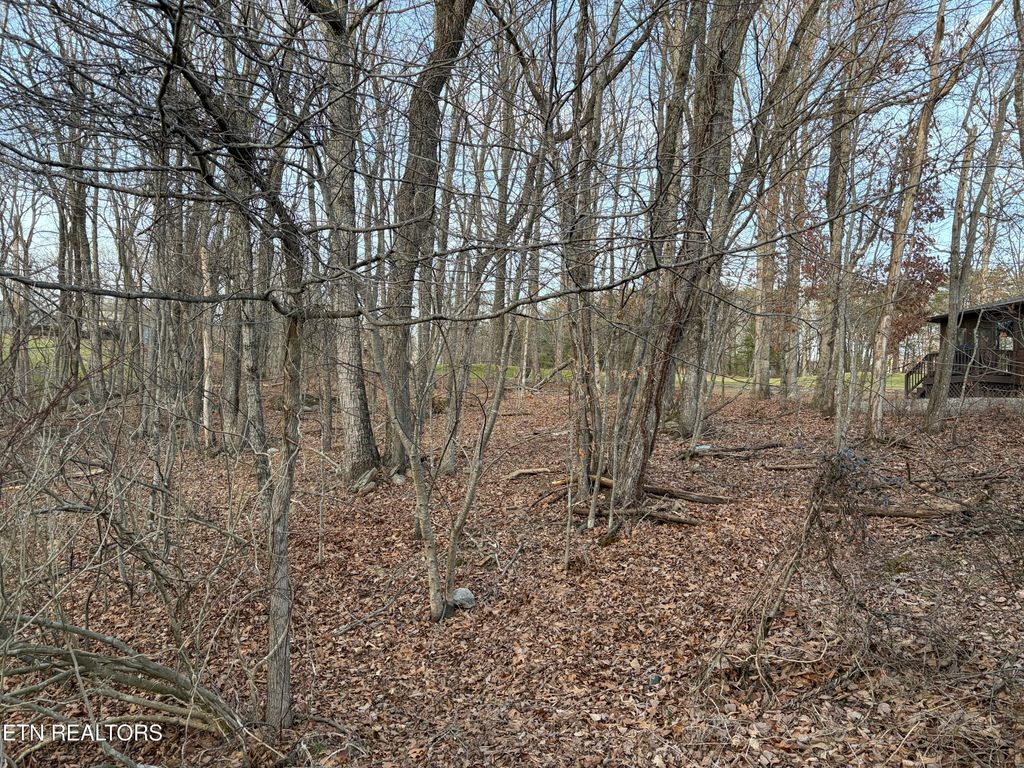 Photo of 118 Baltusrol Rd, Fairfield Glade, TN 38558 (MLS # 1329151)