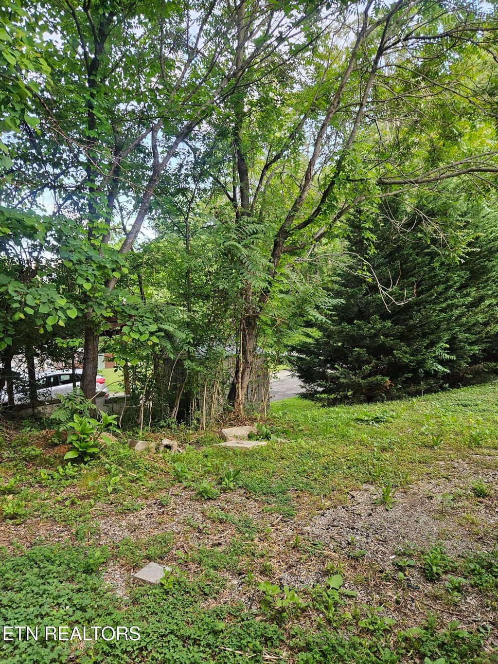 Photo of 240 Henderson Hollow Rd, Knoxville, TN 37931 (MLS # 1340259)