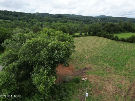 317 SINGLETON HOLLOW RD LOT 1, SPEEDWELL, TN 37870 - Image 1b2586e5cb707b9ce4e1c78e27d3a80a/3583601778