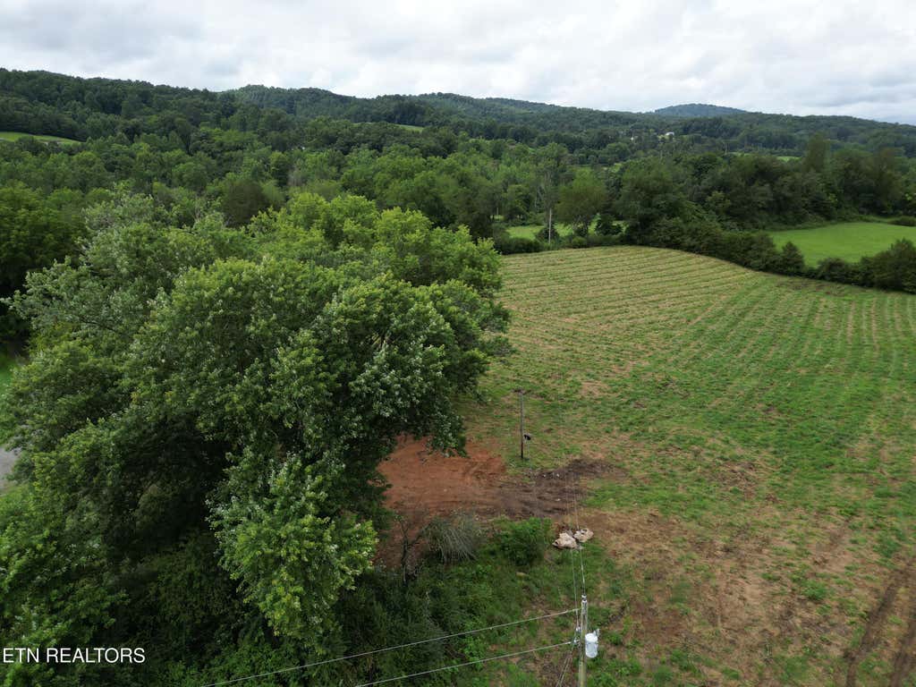 Photo of 317 Singleton Hollow Rd #lot 1, Speedwell, TN 37870 (MLS # 1349785)