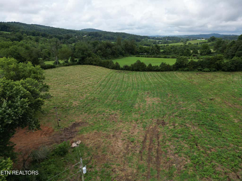 Photo of 317 Singleton Hollow Rd #lot 1, Speedwell, TN 37870 (MLS # 1349785)