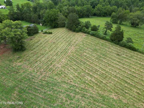 Tiny photo for 317 Singleton Hollow Rd #lot 1, Speedwell, TN 37870 (MLS # 1349785)