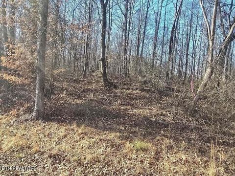 Photo of 16 River Rd, Decatur, TN 37322 (MLS # 1330782)