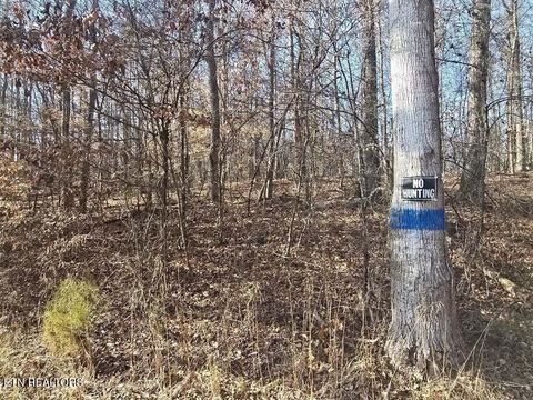 Tiny photo for 16 River Rd, Decatur, TN 37322 (MLS # 1330782)