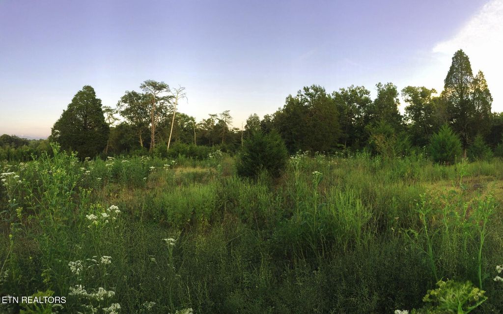 Photo of 000 Thorngrove Pike, Strawberry Plains, TN 37871 (MLS # 1327494)