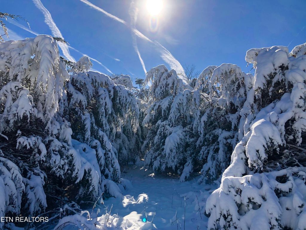 Photo of 000 Thorngrove Pike, Strawberry Plains, TN 37871 (MLS # 1327494)