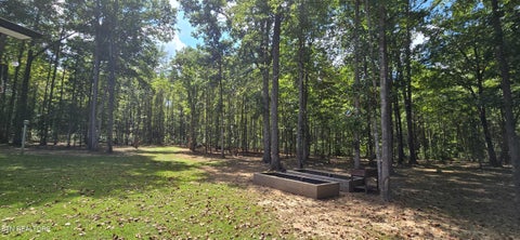 Tiny photo for 1222 Press Beaty Rd, Jamestown, TN 38556 (MLS # 1355492)