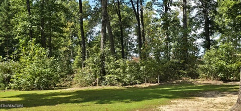 Tiny photo for 1222 Press Beaty Rd, Jamestown, TN 38556 (MLS # 1355492)