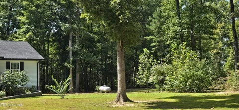 Tiny photo for 1222 Press Beaty Rd, Jamestown, TN 38556 (MLS # 1355492)