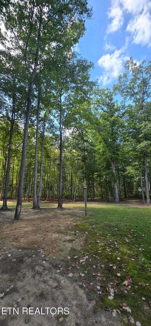 Tiny photo for 1222 Press Beaty Rd, Jamestown, TN 38556 (MLS # 1355492)