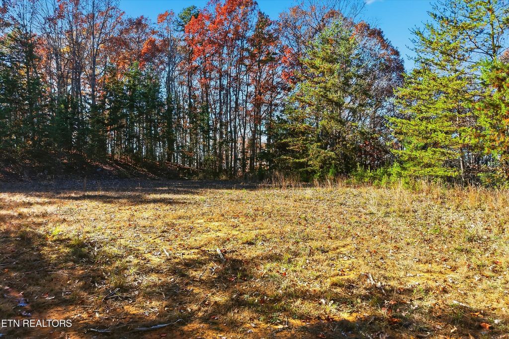 Photo of 1518 Tom Mccall Rd, Maryville, TN 37801 (MLS # 1322670)