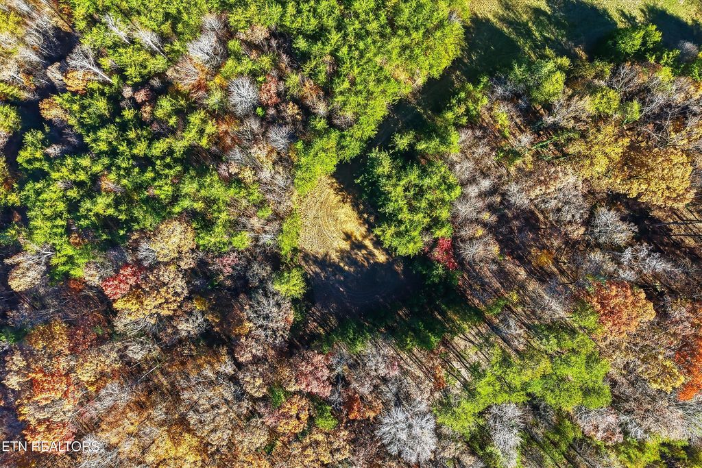 Photo of 1518 Tom Mccall Rd, Maryville, TN 37801 (MLS # 1322670)