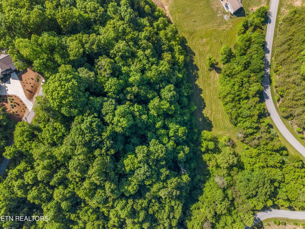 Photo of 487 Magnolia Lane, Sharps Chapel, TN 37866 (MLS # 1340867)