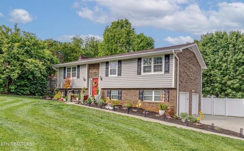 Photo of 7808 Hallsdale Rd, Knoxville, TN 37938 (MLS # 1338804)