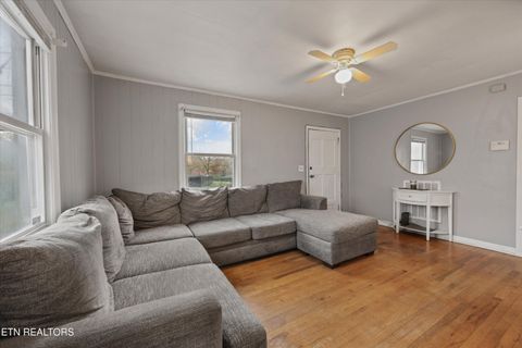 Tiny photo for 4303 Bruhin Rd, Knoxville, TN 37912 (MLS # 1332499)