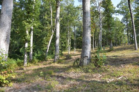 Tiny photo for 566 William Branch Rd, Lancing, TN 37770 (MLS # 1328928)