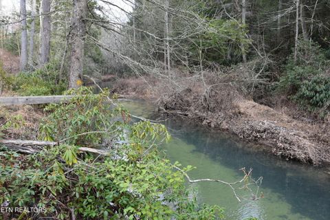 Tiny photo for 566 William Branch Rd, Lancing, TN 37770 (MLS # 1328928)