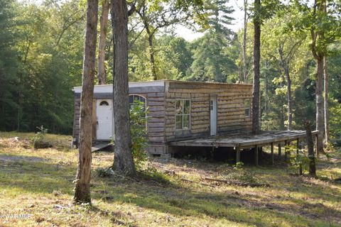 Tiny photo for 566 William Branch Rd, Lancing, TN 37770 (MLS # 1328928)
