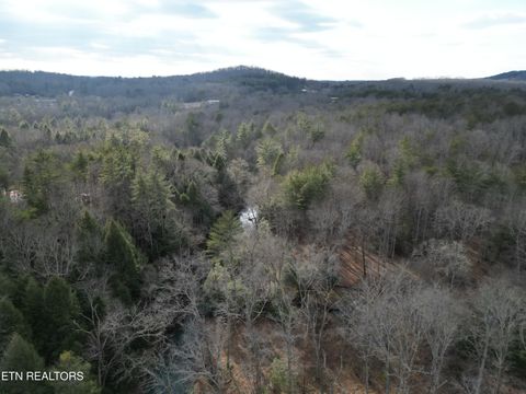 Tiny photo for 566 William Branch Rd, Lancing, TN 37770 (MLS # 1328928)