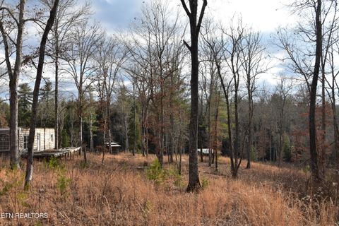 Tiny photo for 566 William Branch Rd, Lancing, TN 37770 (MLS # 1328928)